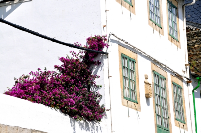 Casa Marqueses Santa Cruz