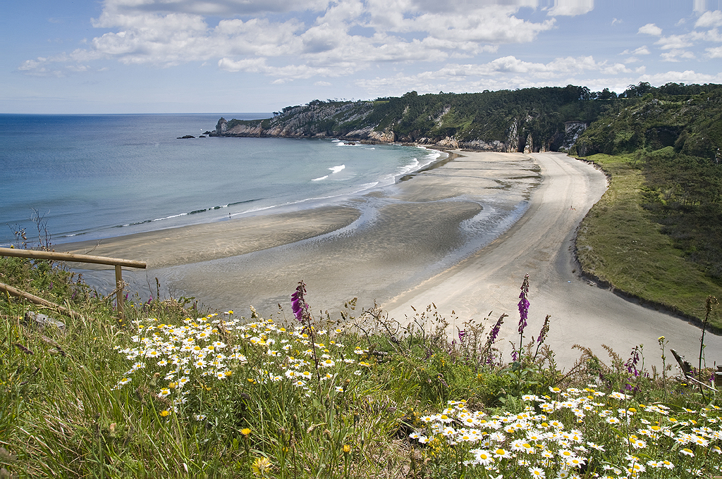 Playa de Barayo