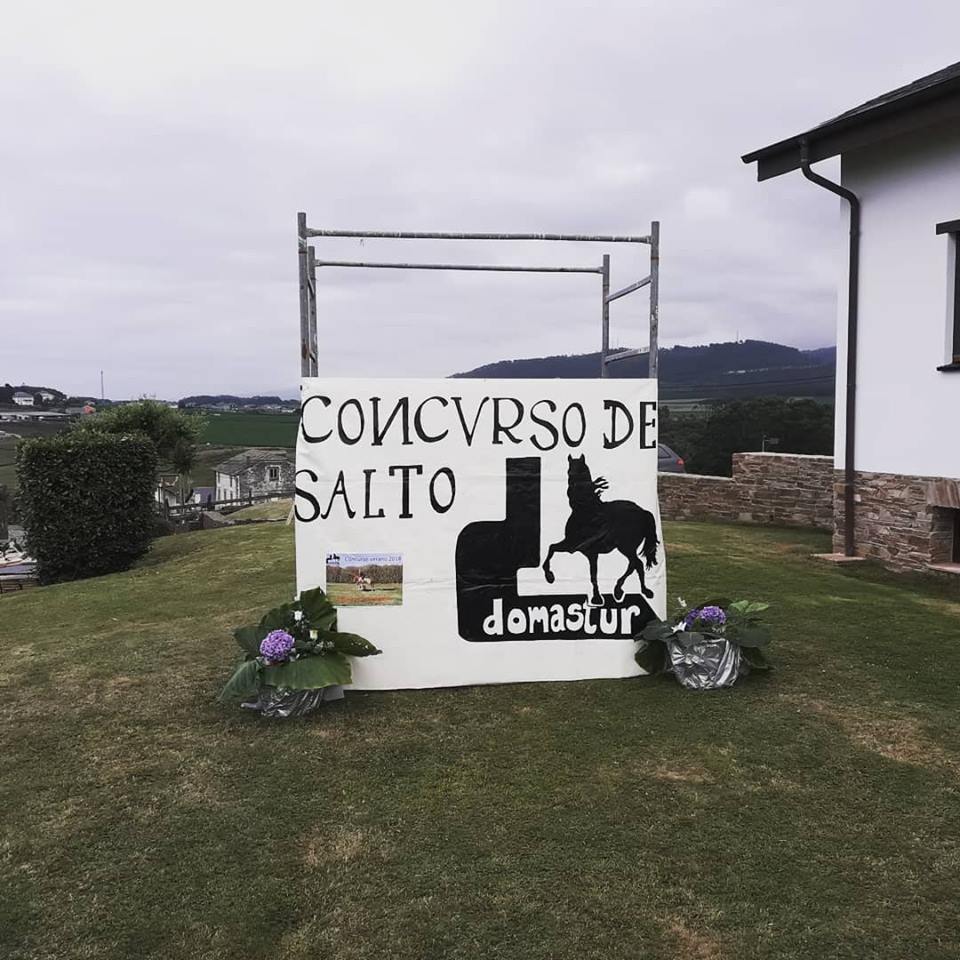DOMASTUR