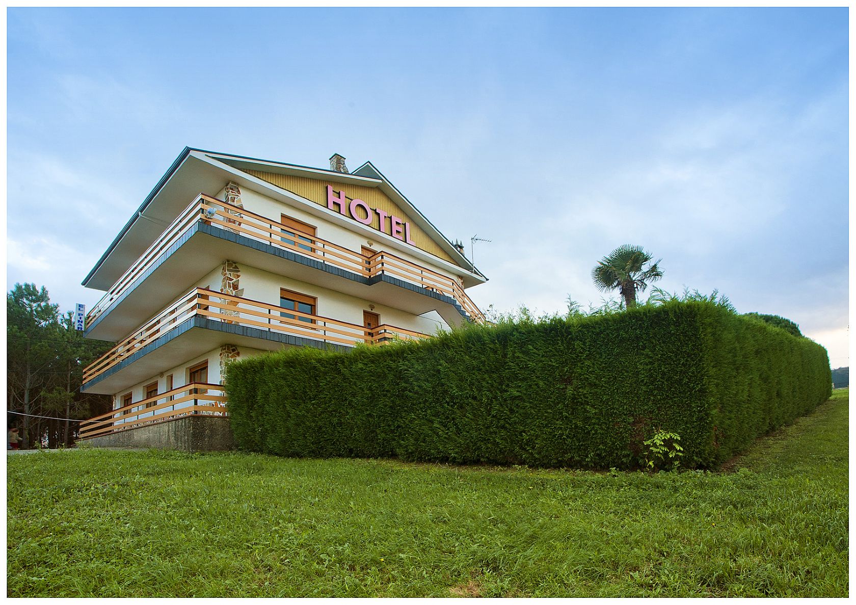 Hotel El Pinar *