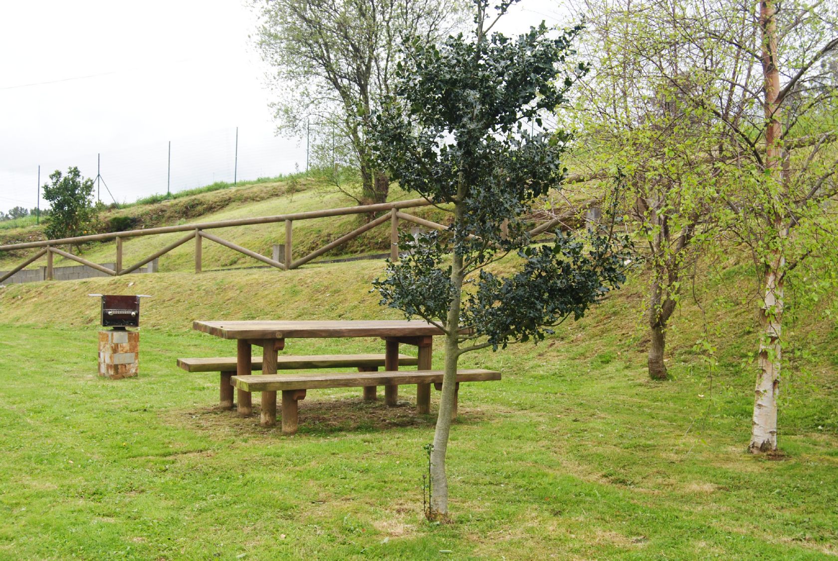 Cabanella