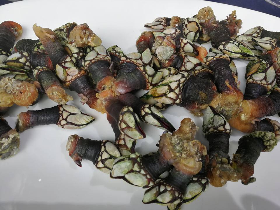 Foto Restaurante cofrada