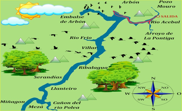 IMAGEN