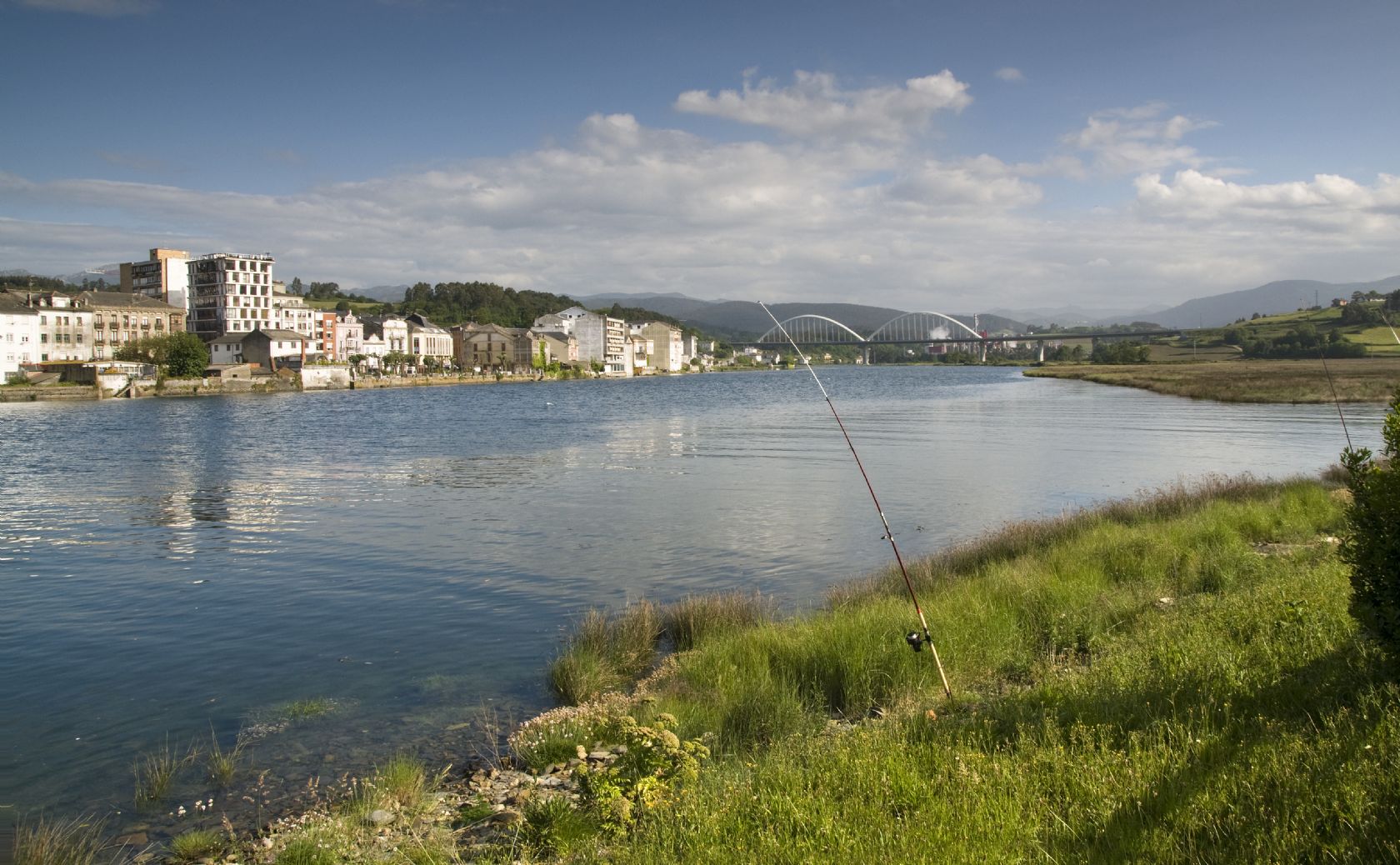 navia