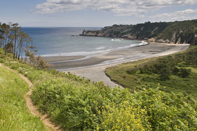 playa frejule